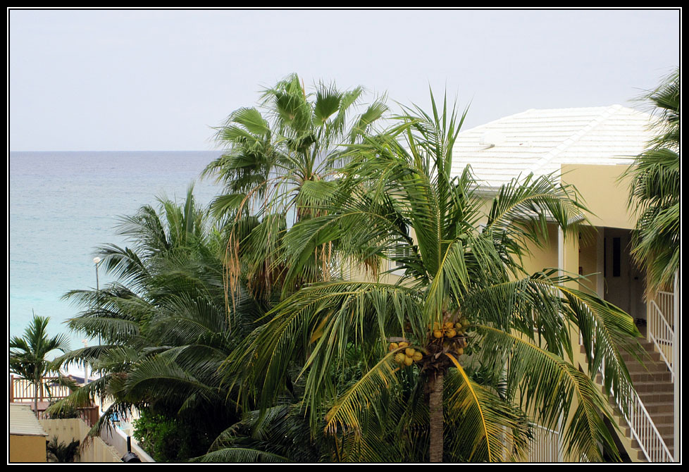 37 View from our room
